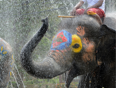 Festival de Songkran