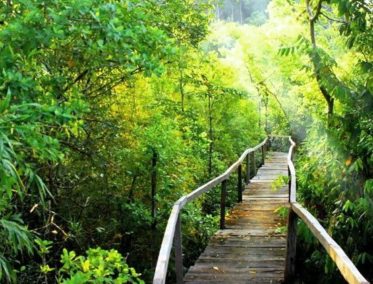 Parque nacional de Cuc Phuong