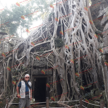 Siem Reap - Bantay Srei - Ta Prohm