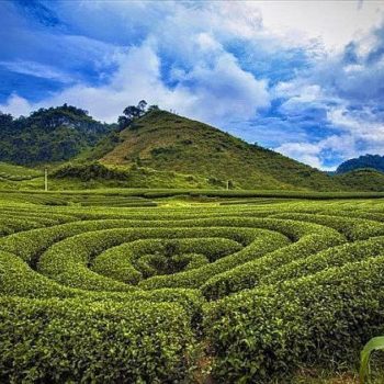 Mai Chau - Son La