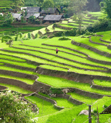 viaje de aventura a vietnam terrazas vietnam