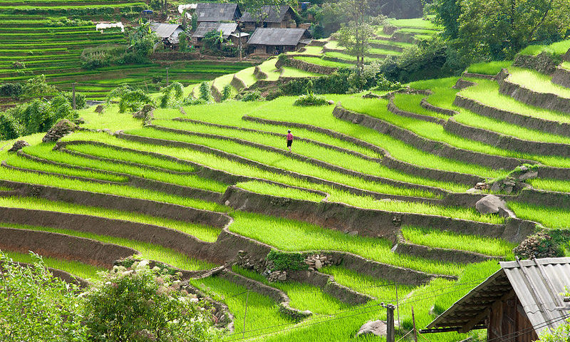 viaje de aventura a vietnam terrazas vietnam