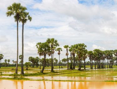 Battambang