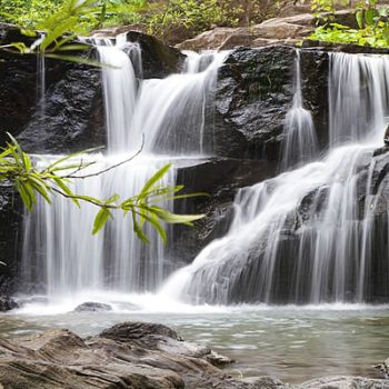 Parque nacional de Khao Yai - viaje de aventura