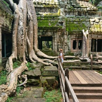 Siem Reap - Banteay Srei - Ta Prohm