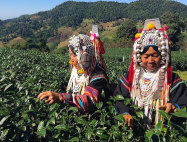 Tribu Akha (Chiang Mai/Chiang Rai)