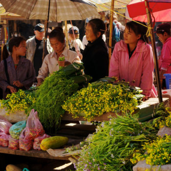 Xieng Khouang - Luang Prabang