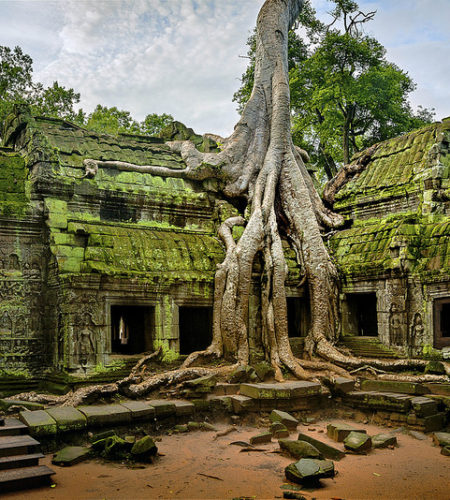 circuito sudeste asiatico ta prohm camboya