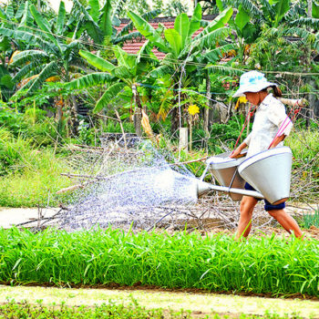 Hoi An – Aldea Tra Que – Hoi An