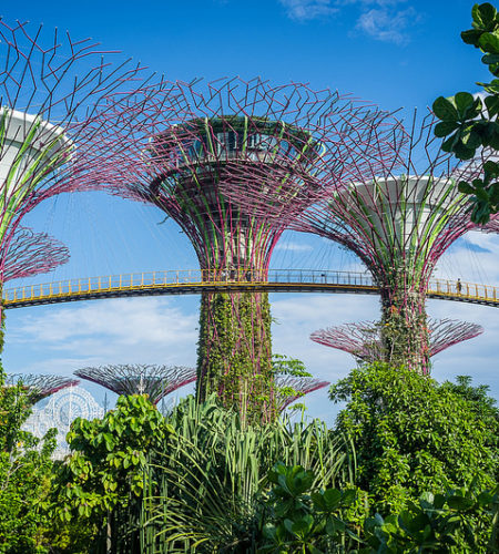 jardin junto a la bahia singapur