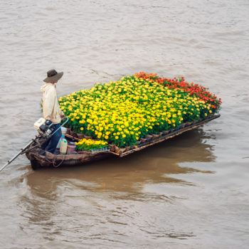 Ho Chi Minh - Delta de Mekong