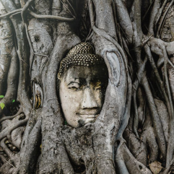 Bangkok - Ayutthaya