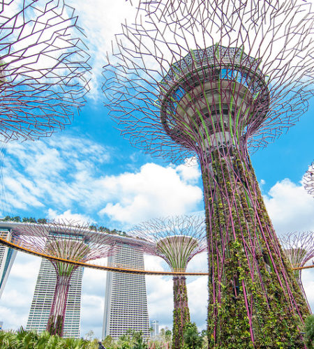 paquete sudeste asiatico garden by the bay singapur