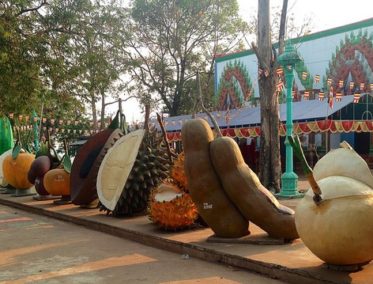 Kampong Chhnang - Tonlé Sap | Kampong Cham (Mekong)