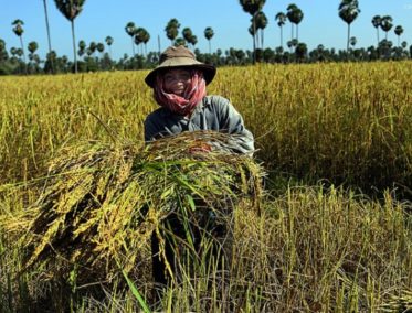 Kampong Cham – Okhna Tey – Phnom Penh | Kampong Chnang – Kampong Tralach – Phnom Penh