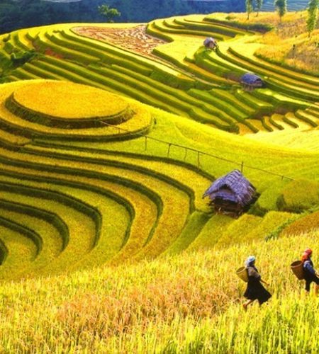 sapa vietnam