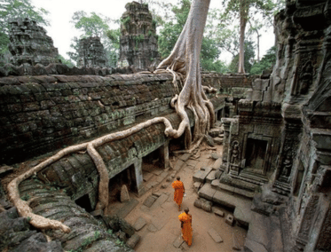 Templo de la Jungla en Siem Reap