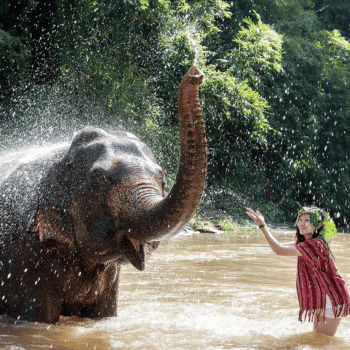 Un Día Mágico con los Gigantes Gentiles de Tailandia