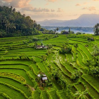 Hanoi - Bali