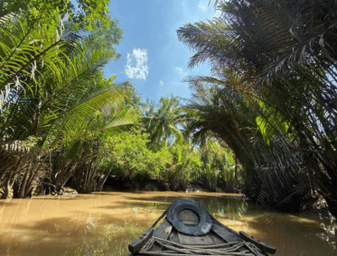 Un laberinto acuático de vida y color en Mekong