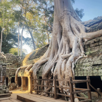 Siem Riep - Angkor Thom - Angkor Wat