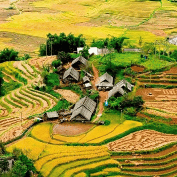 Caminata por pueblos étnicos de Lao Chai & Ta Van