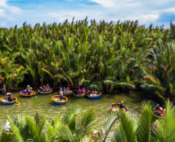 Bosque de Agua de Coco Bay Mau