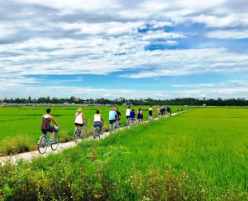 Paseo en bicicleta por los arrozales de Hoi An