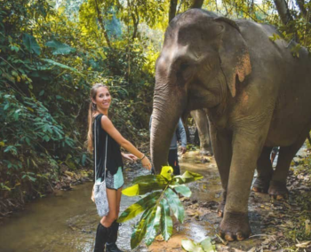 Experiencia con elefantes, Laos