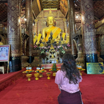 Santuario de elefantes - Visita a la ciudad de Luang Prabang