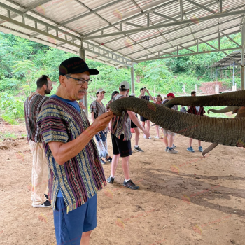 Chiang Mai - Parque natural de los elefantes