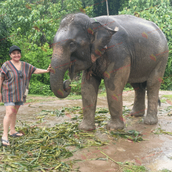 Una jornada mágica con los gigantes gentiles del norte de Tailandia