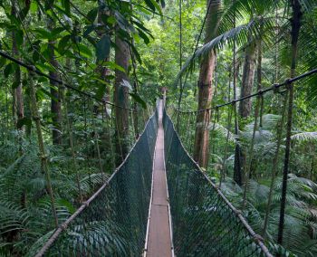 Parque Nacional Taman Negara