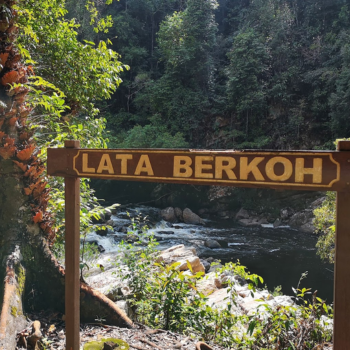 Exploración del parque Taman Negara