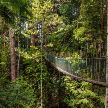 Kuala Lumpur - Taman Negara