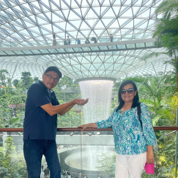 Singapur - Salida y visita a la cascada Jewel en el aeropuerto de Changi