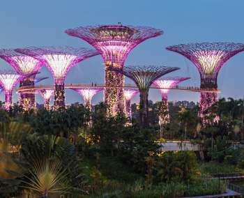 Gardens by the Bay