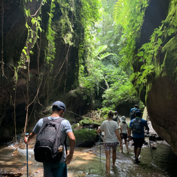 Continuación del recorrido por Ubud