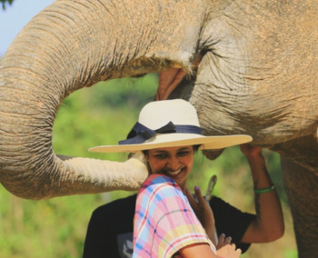 Parque natural del elefante (Chiang Mai, Tailandia)