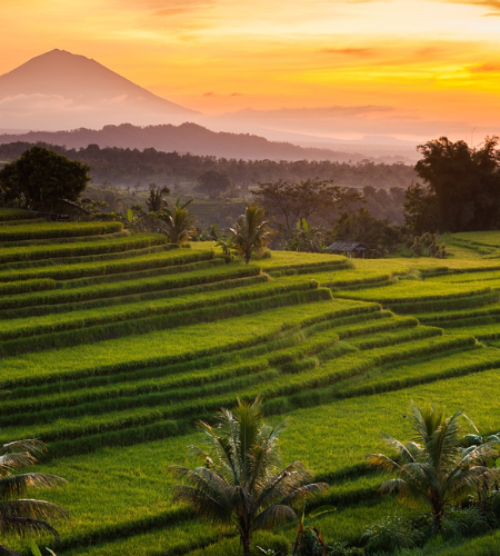 rice terraces Jatiluwih en viaje de aventura en bali